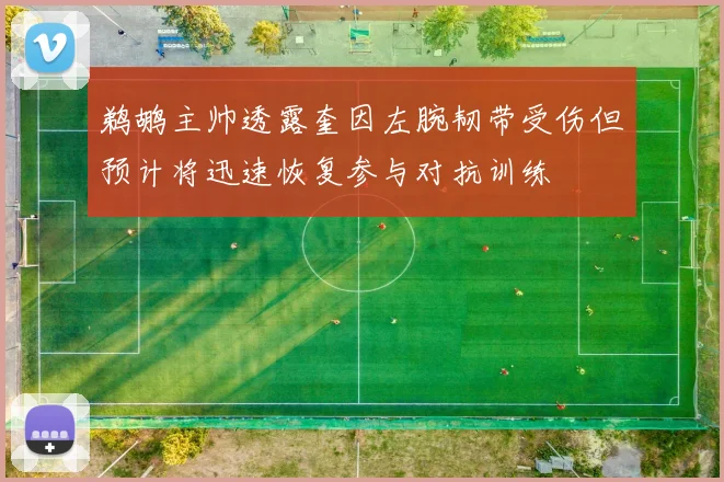 鹈鹕主帅透露奎因左腕韧带受伤但预计将迅速恢复参与对抗训练