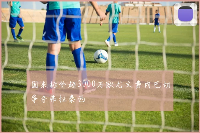国米标价超3000万欧尤文费内巴切争夺弗拉泰西